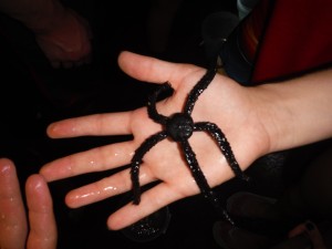One of our finds - brittle star/echinoderm.