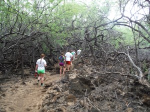 We had to hike through Maleficents forest of thorns and lava rocks to get there.